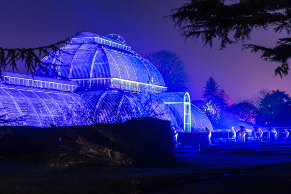 Kew Gardens entrance kit up in blue festive lights at night